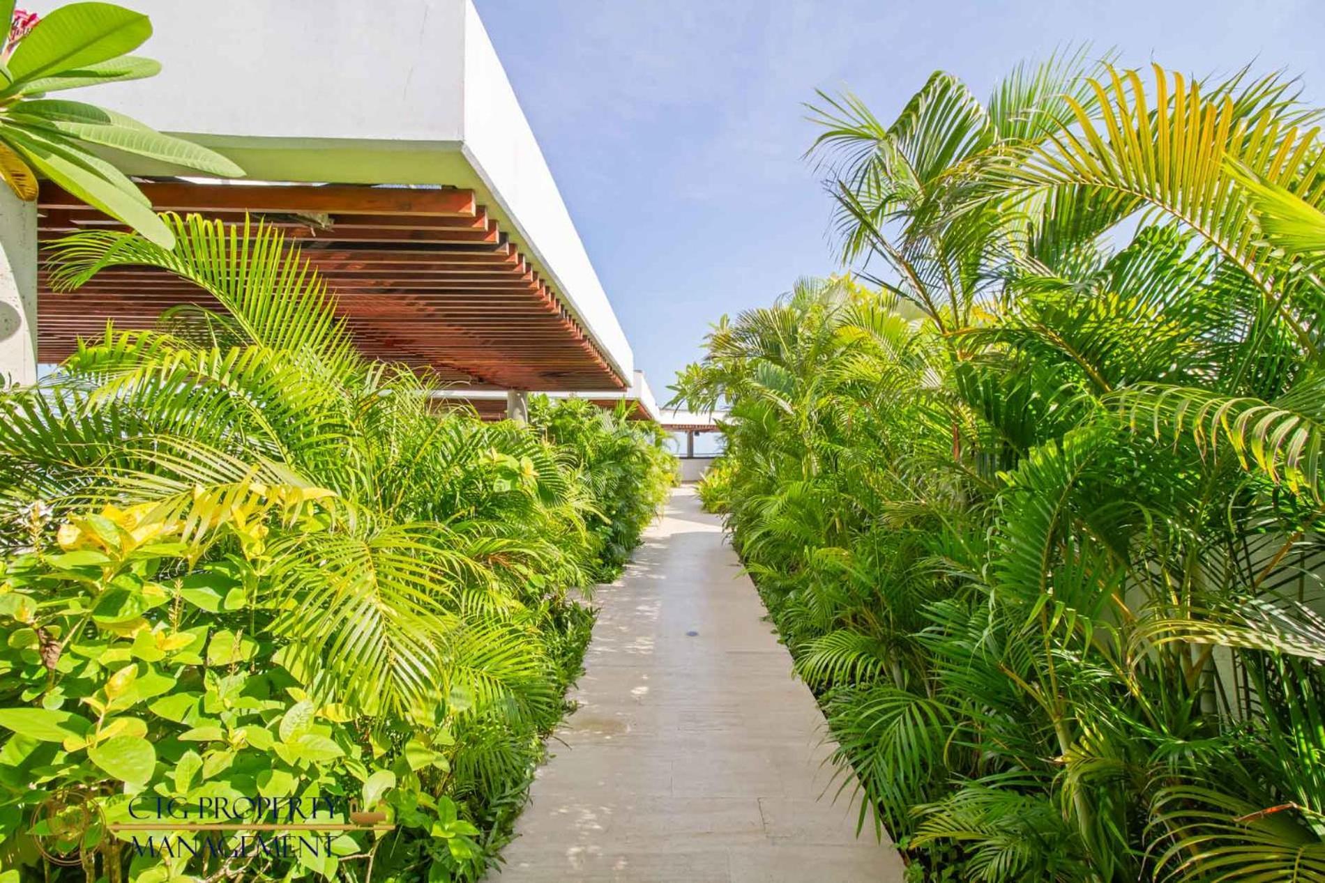 Martinique Cartagena, Beautiful 1 & 2 Bedroom Apartments Eksteriør bilde